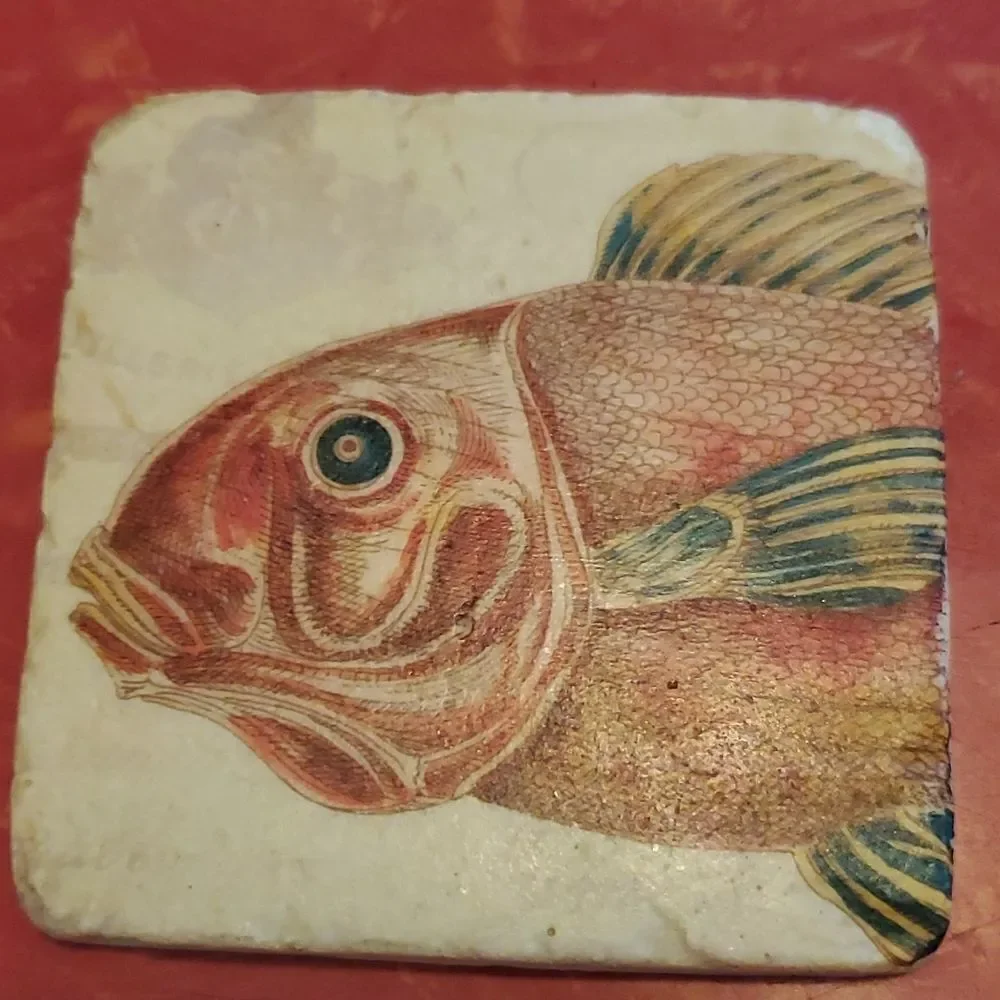 Tim Coffey Fish Sone Coasters Set of 4 Cork Backs Fishing Man Cave Marine Life